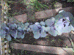 phot026.jpg