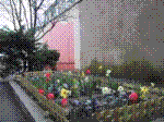 phot09.jpg