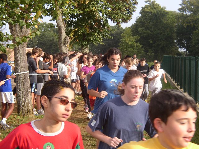 cross_2006(100)