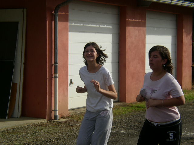 cross_2006(117)