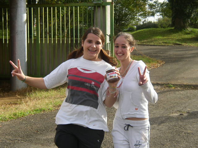 cross_2006(120)