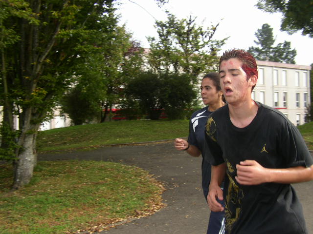 cross_2006(156)