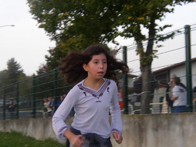 cross_2006(17)