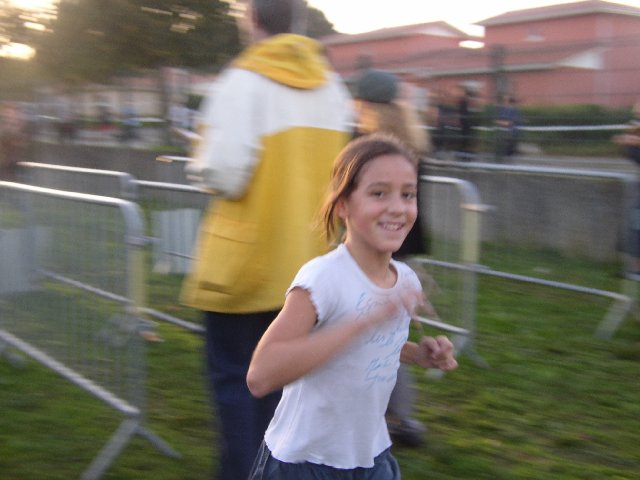 cross_2006(22)