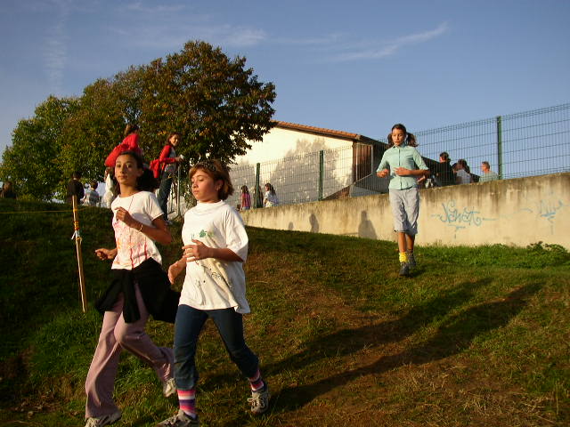 cross_2006(36)