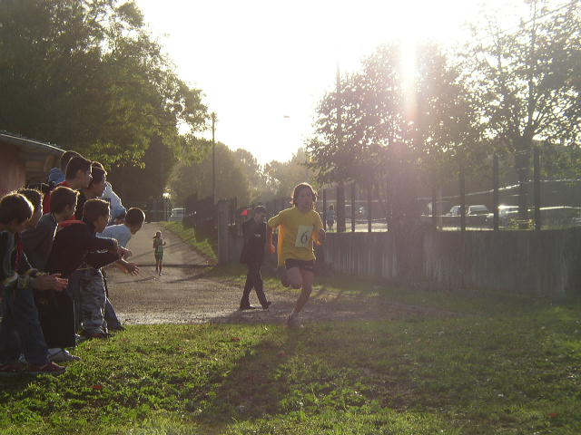 cross_2006(55)