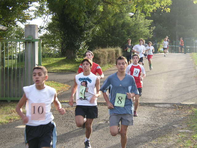 cross_2006(74)