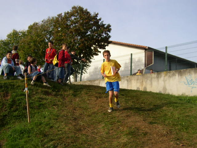 cross_2006(78)
