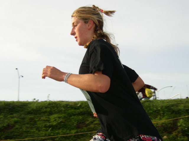 cross_2006(79)