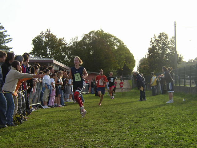 cross_2006(83)