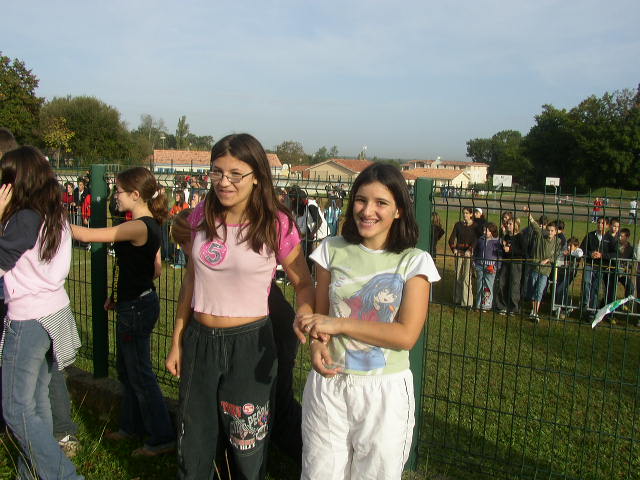 cross_2006(95)