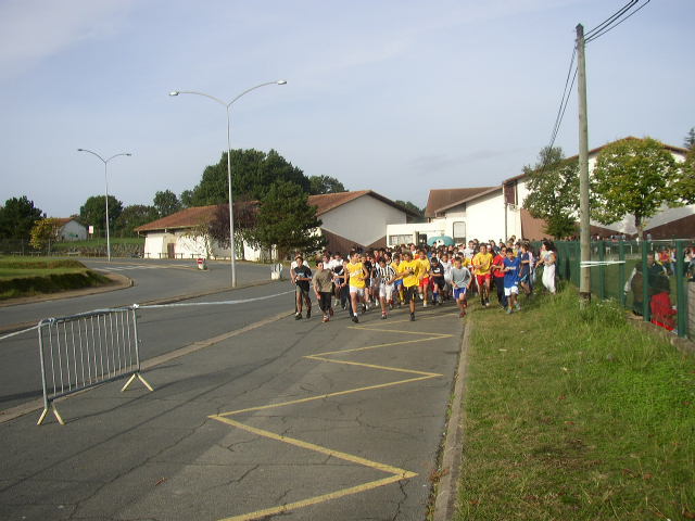 cross_2006(97)