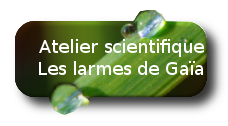 Sortie de l'atelier scientifique  Bordeaux le 10 octobre 2014  8h00  Saint Maixant