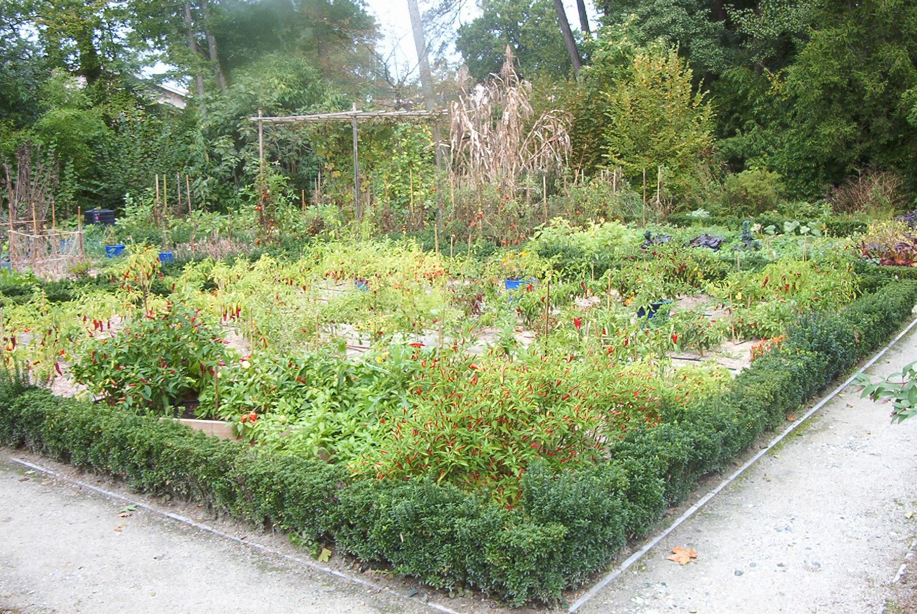 le potager du parc