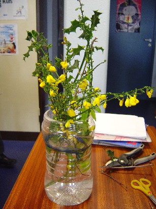 bouquet