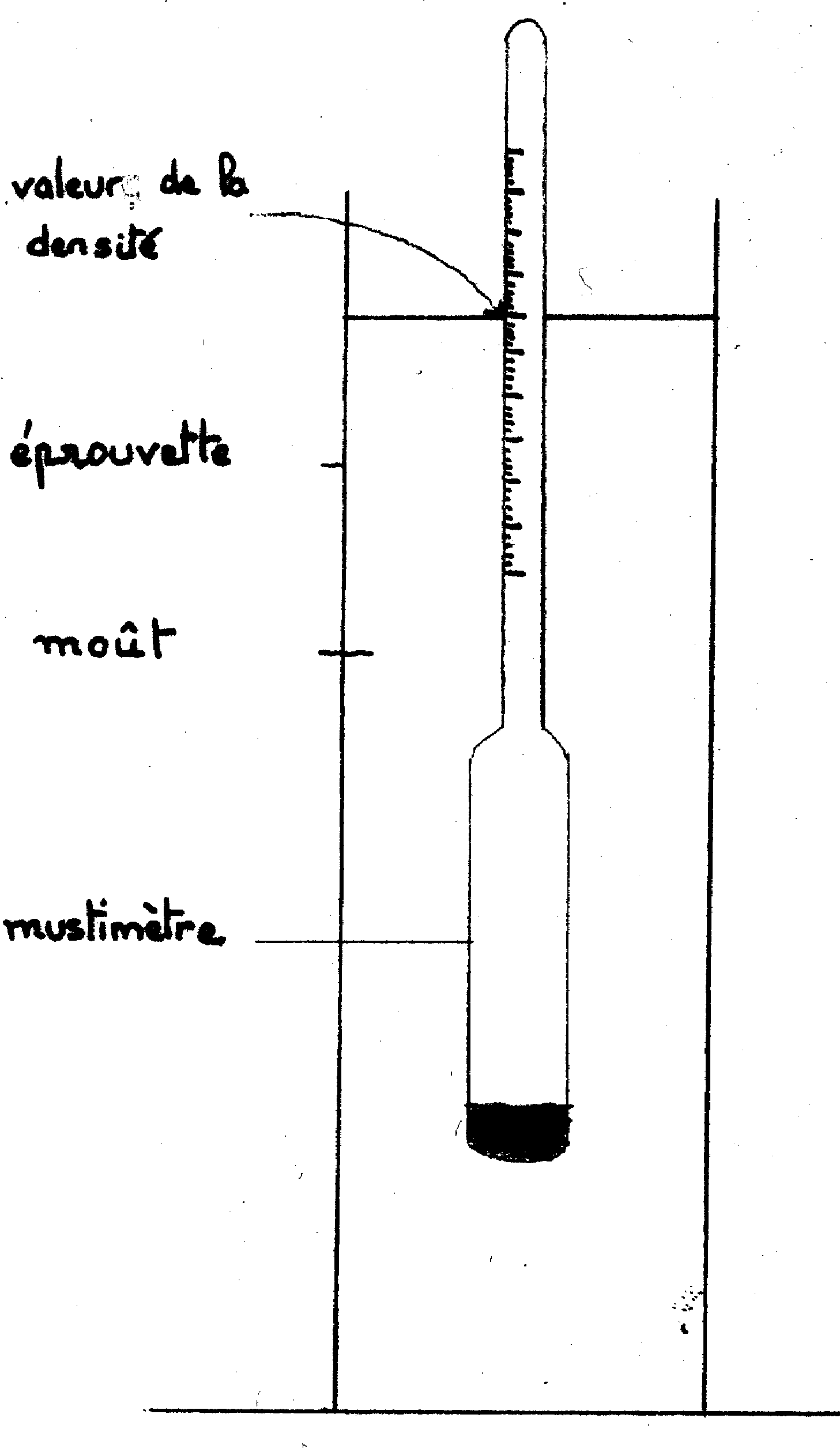 Pèse Alcool Densimètre 1923