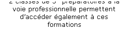 Zone de Texte: 2 classes de 3e prparatoires  la voie professionnelle permettent daccder galement  ces formations
