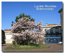 LP Nicolas  BREMONTIER
