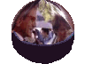 Mme la Ministre et M. le Recteur