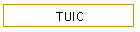 TUIC