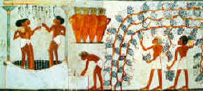 j3-vin04.jpg (179482 octets)