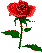Image51.gif (1284 octets)