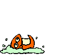 fish12.gif (5322 octets)
