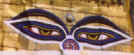 yeux.jpg (13200 octets)