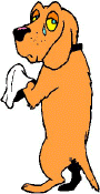 rouk01.jpg (20078 octets)