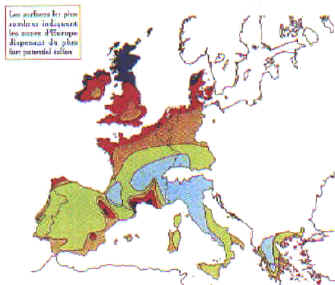 6lsven35.jpg (57828 octets)