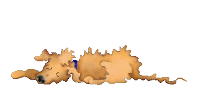 dog.gif (57713 octets)