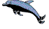 dauphin1.gif (5451 octets)