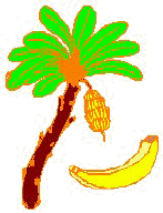 bana04.jpg (9659 octets)