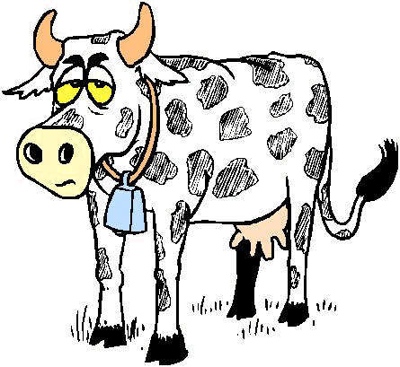 ferm03.jpg (50162 octets)