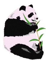 0204our1.jpg (50661 octets)