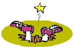 0604spo1.jpg (25370 octets)