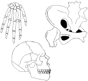 1304sq1.jpg (50674 octets)
