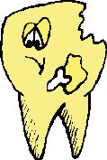 1510po2.jpg (9378 octets)