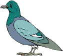 2910pa2.jpg (50424 octets)