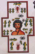 JMMOS49.JPG (6228 octets)