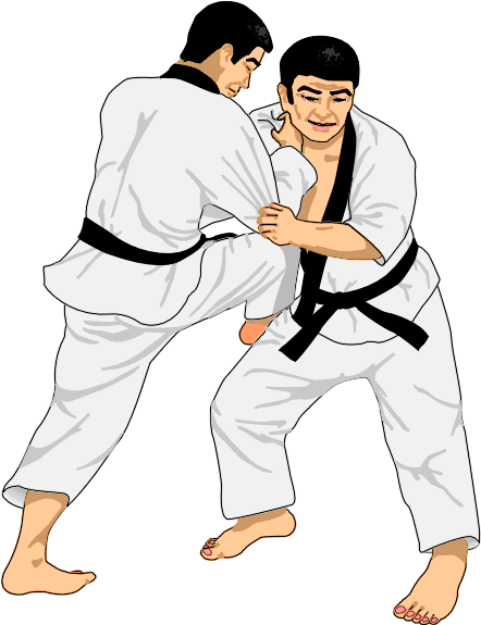 judo.gif (25130 octets)
