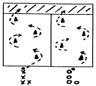 rugby39.gif (5333 octets)
