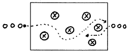 rugby40.gif (3846 octets)