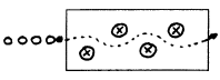 rugby41.gif (2777 octets)