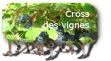 Cross des vignes : date non encore fixe