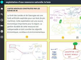 Cliquez pour ouvrir le Digipad sur l'exploitation du bois !